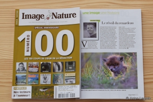 mon image de renardeau dans le magazine Image et Nature spécial anniversaire le 10 août 2018